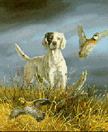 Quail hunting in Northwest Florida